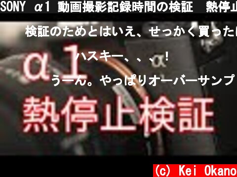 SONY α1 動画撮影記録時間の検証　熱停止問題！？  (c) Kei Okano